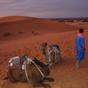 Bivouac Nahkla Hotel at Hotels Combined