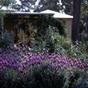 Australis Margaret River at Hotels Combined