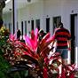 Red Carpet Inn Nassau at Hotels Combined