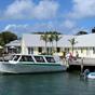 Green Turtle Club & Marina at Hotels Combined