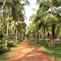 Summer Sands Beach Resort at Hotels Combined