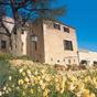 Hotel Rural S'olivaret Alaro at Hotels Combined