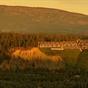 Suncadia Resort Cle Elum at Hotels Combined