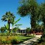 Delfinia Hotel & Bungalows Mytilene at Hotels Combined