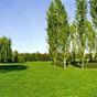 Hotel All'Orso (Roncade) at Hotels Combined