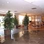 SH Florazar Hotel Massalfassar at Hotels Combined