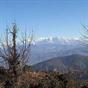 Suman Royal Resort Kausani at Hotels Combined