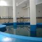 Hotel Terme Rosaleo at Hotels Combined