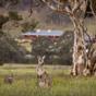 Wolgan Valley Resort Lithgow at Hotels Combined
