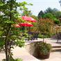 New Flying Horse Inn Wye at Hotels Combined