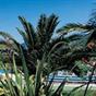 Hotel Grazia Terme at Hotels Combined