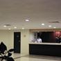Hotel Dali Plaza Guadalajara at Hotels Combined