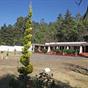 Hotel Mansion Bugambilias at Hotels Combined