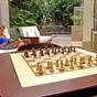 Lagotel at Hotels Combined