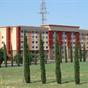 Blue Cypress Hotel at Hotels Combined