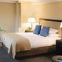The Saratoga Hilton at Hotels Combined