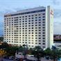 Hilton St Petersburg Bayfront at Hotels Combined