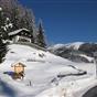 Haus am Waldrand at Hotels Combined