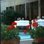 Le Due Corti at Hotels Combined