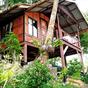 Maney Resort Ko Phi Phi Don at Hotels Combined