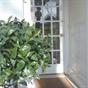 Beeches Guest House Plymouth (England) at Hotels Combined