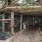 Masai Mara Sopa Lodge Nairobi at Hotels Combined