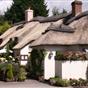 Farmers Arms at Hotels Combined