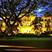 Malang hotels