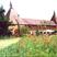 Biddenden hotels