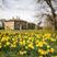 Chatton hotels