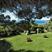 Bordighera hotels