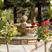 Saint Helena hotels