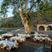 Aigio hotels