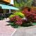 Alleghe hotels