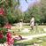 Campofelice di Roccella hotels