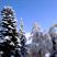 Hochenschwand hotels