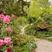 Wentworth Falls hotels