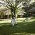 Thekkady hotels