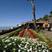 Camara de Lobos hotels