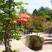 Wye hotels