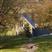 Hethersgill hotels