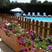 Nuits-Saint-Georges hotels