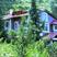 Ramgarh hotels