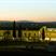Asciano hotels