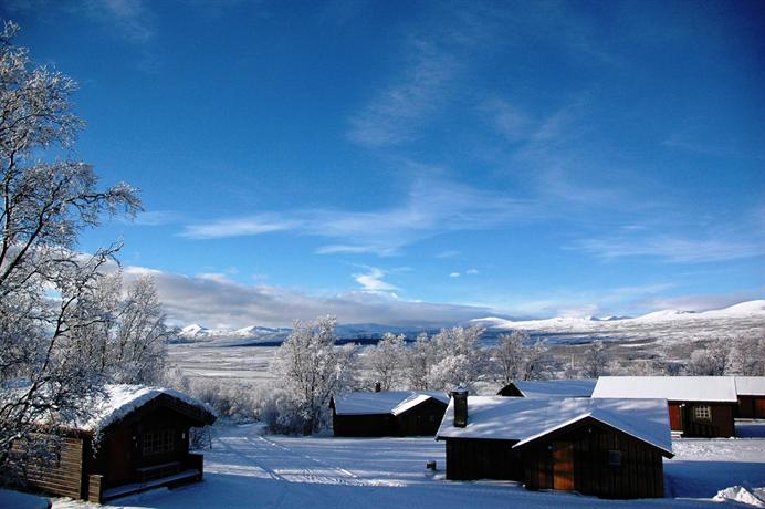norge porn homo streamate norge porn homo streamate