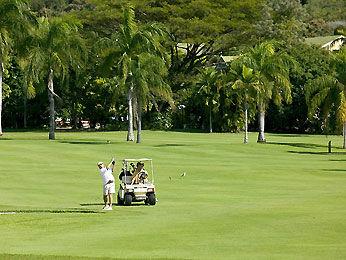 Novotel Rockford Resort Cairns Coral Coast Drive Palm Cove