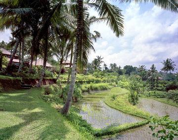 Amandari Resort Bali Jalan Raya Kedewatan Ubud