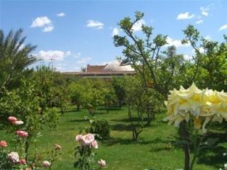 Riad Dar Zitoune Hotel Taroudant Boutarialt El Barrania