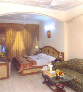 Ashu Palace Hotel New Delhi 12A/34 W.E.A. Sarswati Marg, Karol Bagh