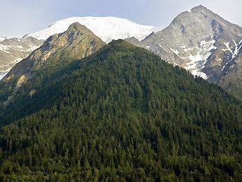 Mercure Chamonix Les Bossons Hotel Chamonix-Mont-B 59 Route De Vers Le Nant Les Bossons